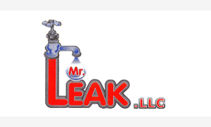 Mr. Leak, Paramus Plumber